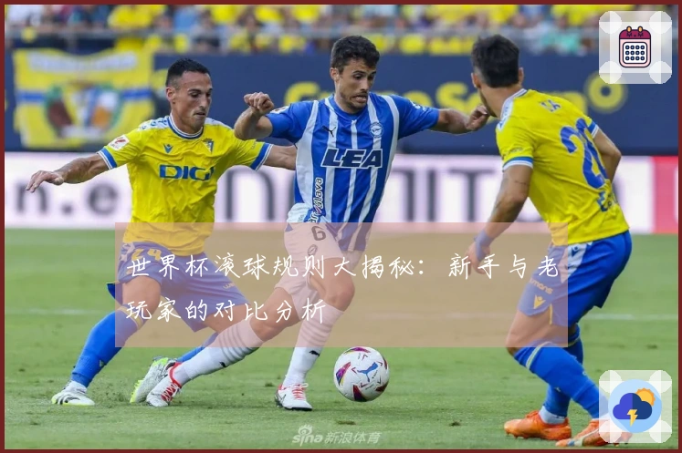 世界杯滚球规则大揭秘：新手与老玩家的对比分析
