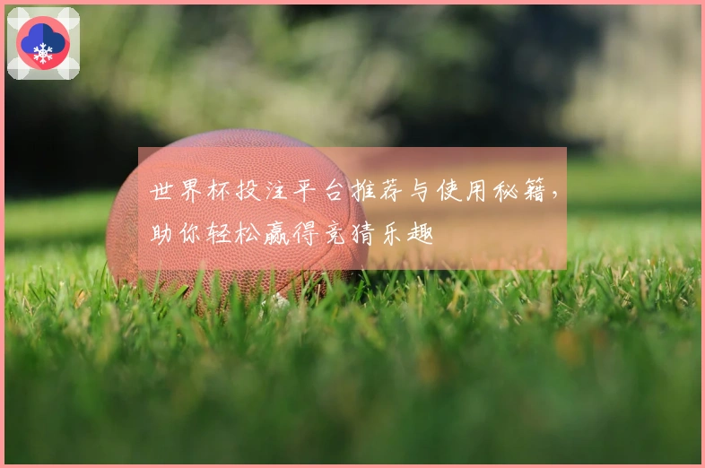 世界杯投注平台推荐与使用秘籍，助你轻松赢得竞猜乐趣