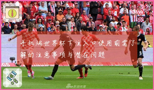 手机端世界杯下注入口使用前需了解的注意事项与潜在问题