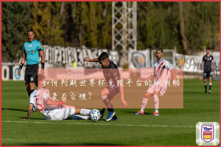 如何判断世界杯竞猜平台的欧洲赔率是否合理?