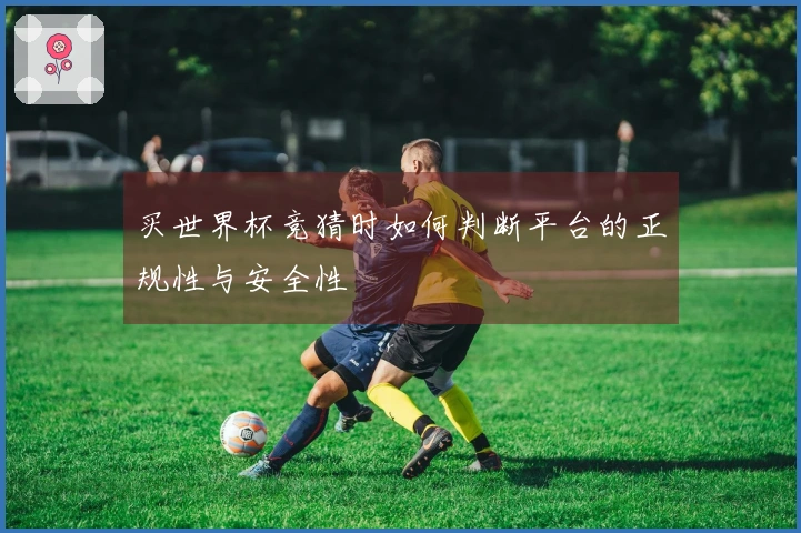 买世界杯竞猜时如何判断平台的正规性与安全性
