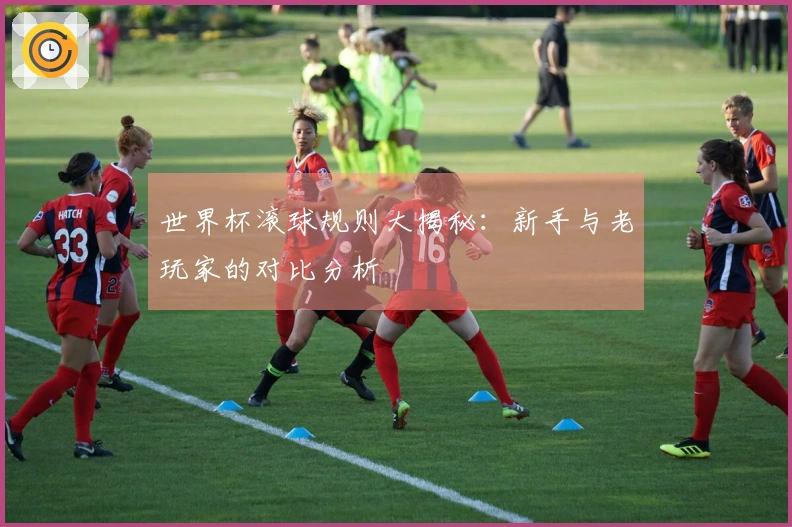 世界杯滚球规则大揭秘：新手与老玩家的对比分析