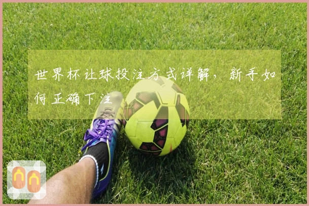 世界杯让球投注方式详解，新手如何正确下注