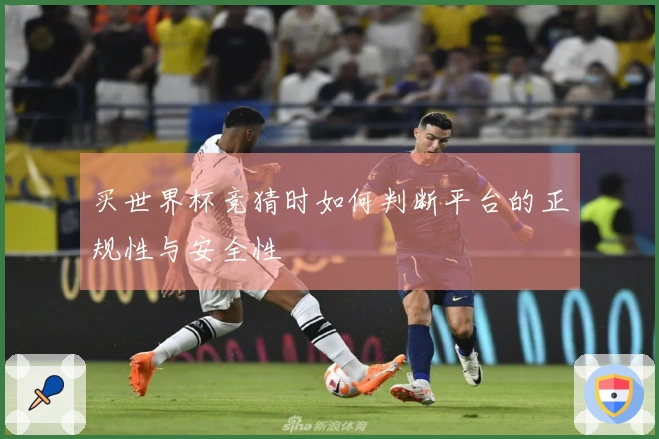 买世界杯竞猜时如何判断平台的正规性与安全性
