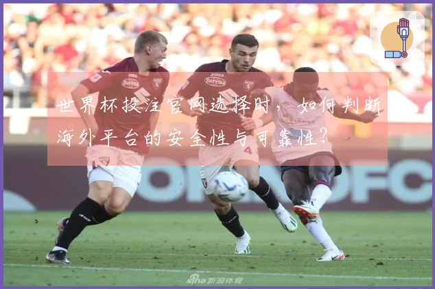世界杯投注官网选择时，如何判断海外平台的安全性与可靠性？